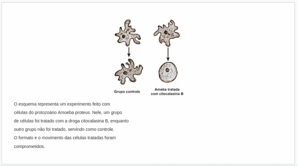 alinhar imagem ao texto